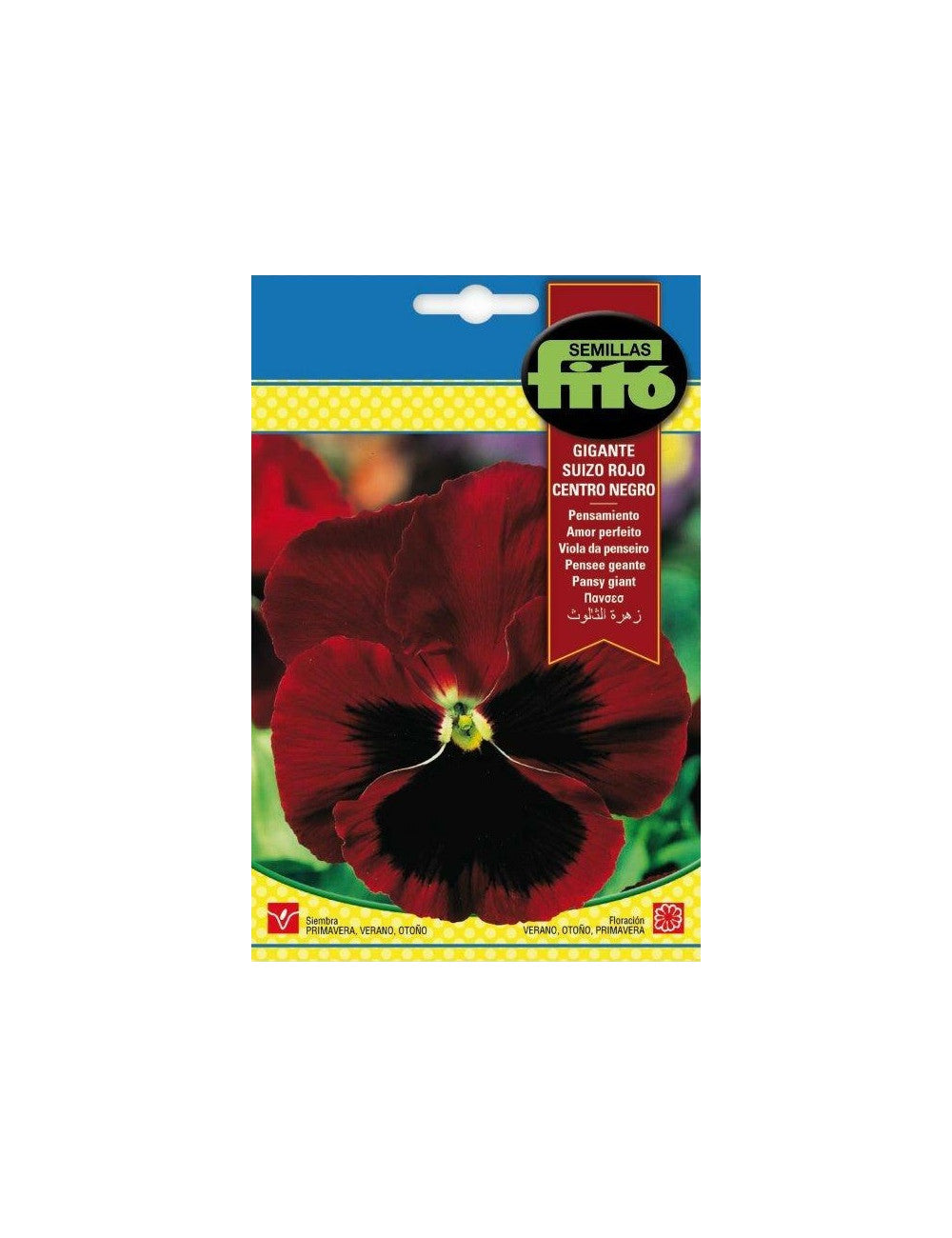 Fito Pansy Mixed - THE GARDEN CENTRE
