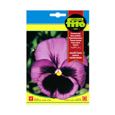 Fito Pansy Mixed - THE GARDEN CENTRE