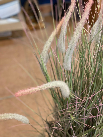 Pennisetum - Bristle Grass Artificial - THE GARDEN CENTRE