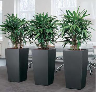 Polo Square pot - THE GARDEN CENTRE