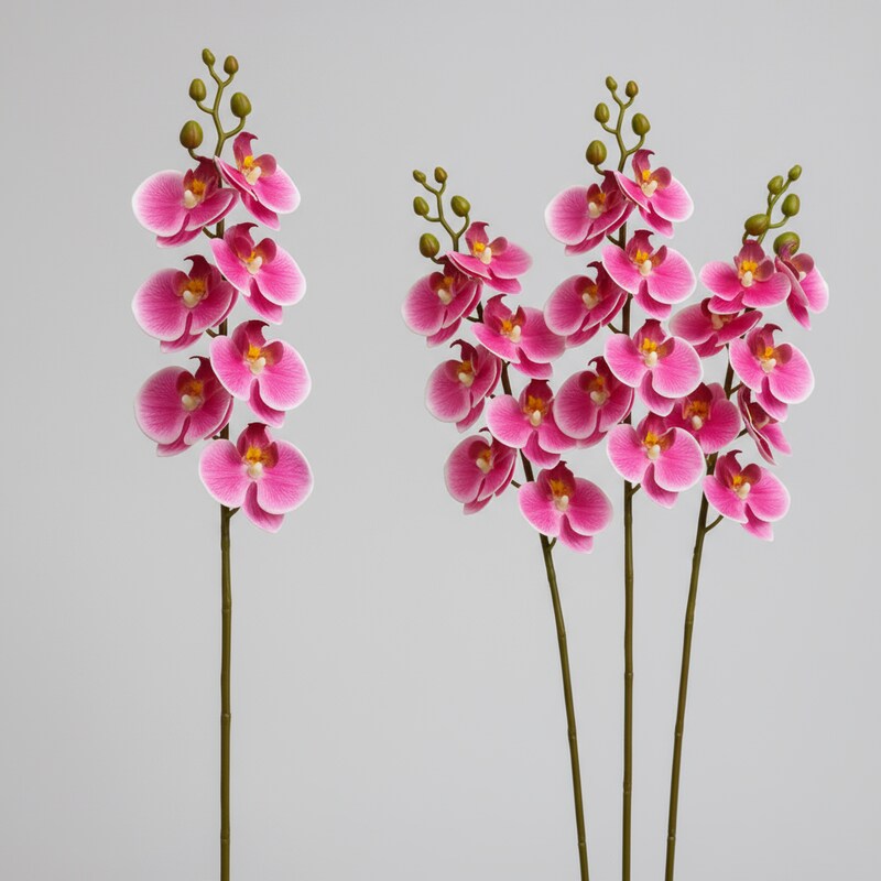 زهرة الأوركيد الاصطناعية