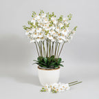 Orchid artificial - THE GARDEN CENTRE