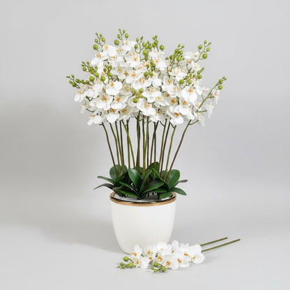 زهرة الأوركيد الاصطناعية