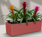 Rectangular Planter with Plants - THE GARDEN CENTRE