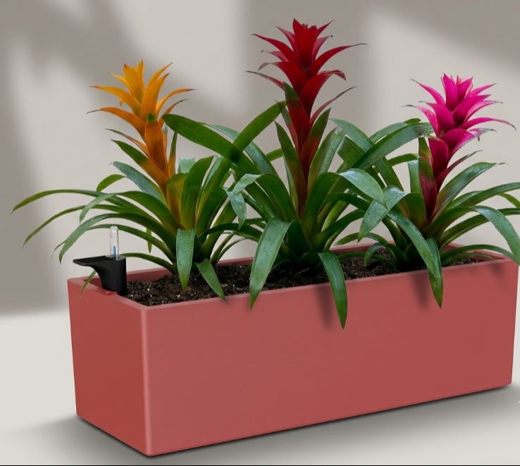 Rectangular Planter with Plants - THE GARDEN CENTRE