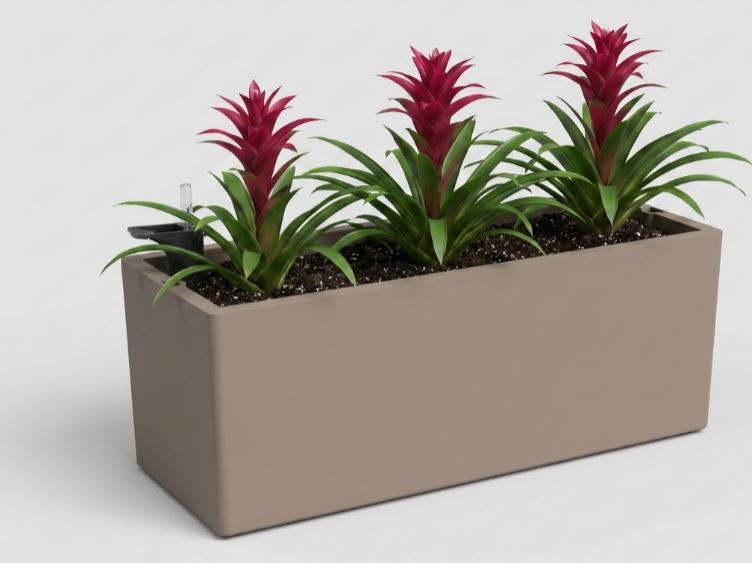 Rectangular Planter with Plants - THE GARDEN CENTRE