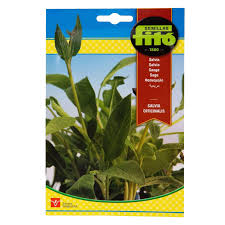 Fito Sage - THE GARDEN CENTRE
