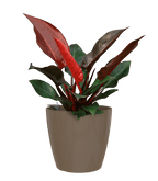 San remo planter - THE GARDEN CENTRE