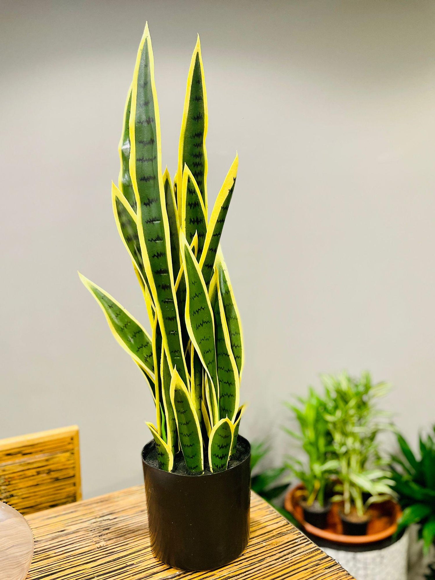 Sanseveria Snake Plant artificial - THE GARDEN CENTRE