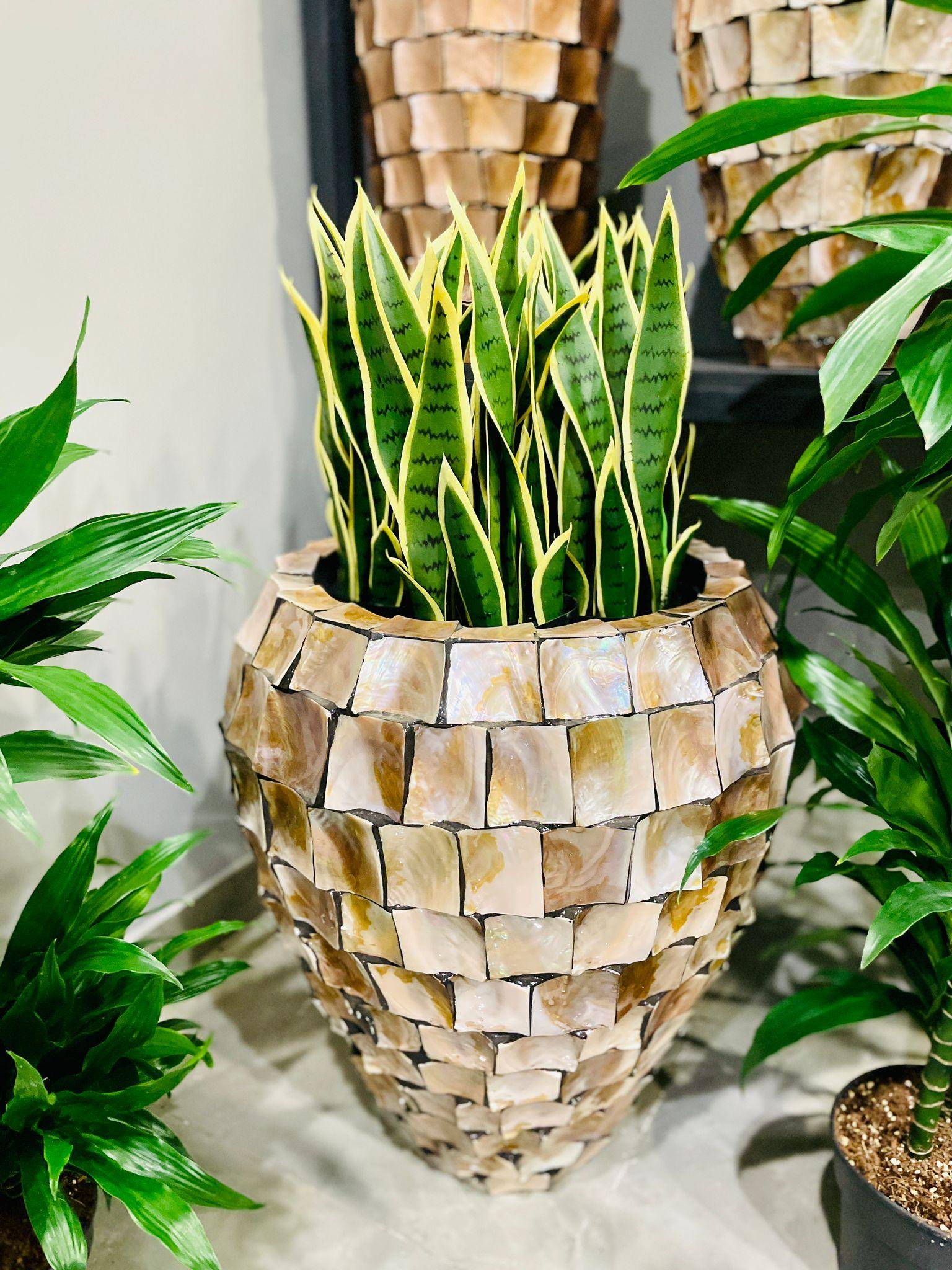 Sanseveria Snake Plant artificial - THE GARDEN CENTRE