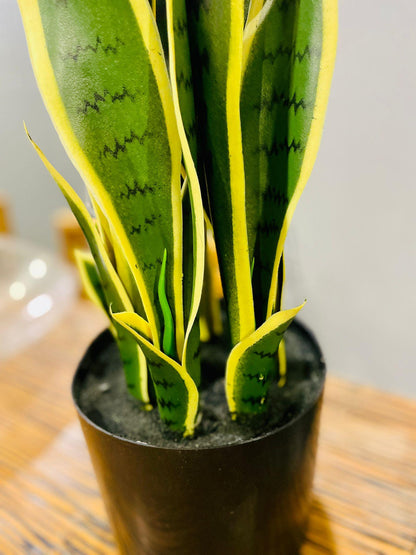 Sanseveria Snake Plant artificial - THE GARDEN CENTRE