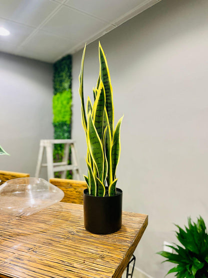 Sanseveria Snake Plant artificial - THE GARDEN CENTRE