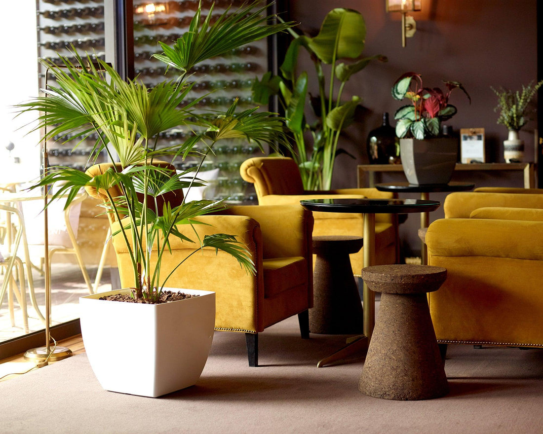 Sienna Square Pot - THE GARDEN CENTRE