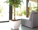 Sienna Square Pot - THE GARDEN CENTRE