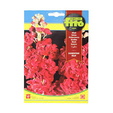 Fito Stock Seeds - THE GARDEN CENTRE