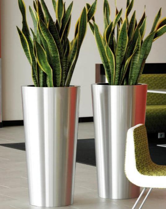 Stainless Steel Conica Planter with Snake Plant - THE GARDEN CENTRE