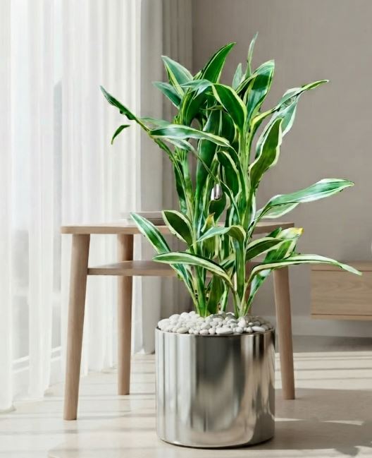 Classic Arrangements - THE GARDEN CENTRE