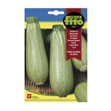 Fito Summer Squash