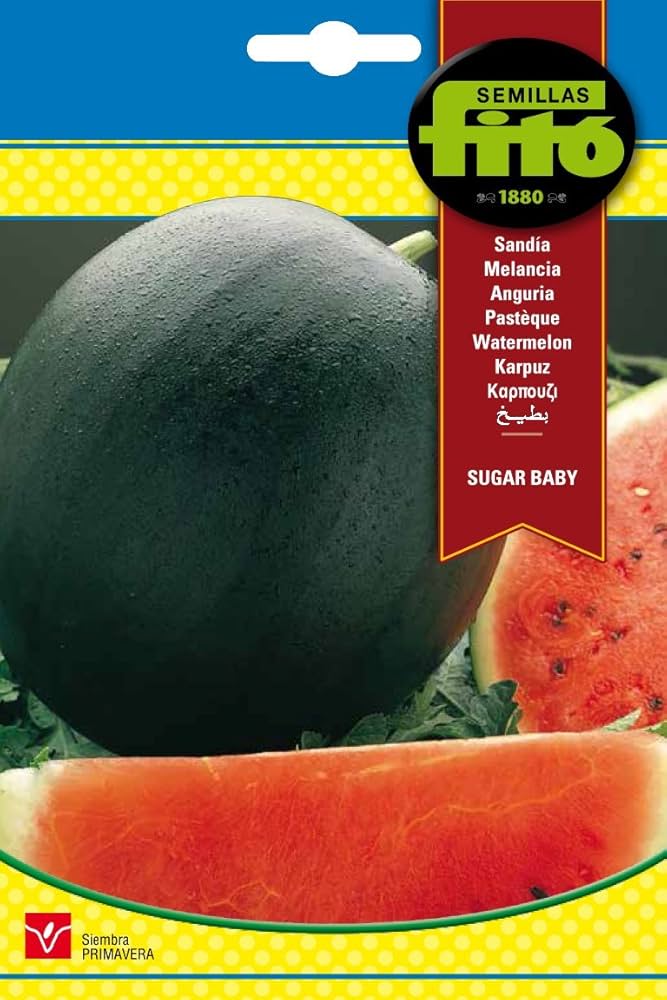 Fito Watermelon Sugarbaby