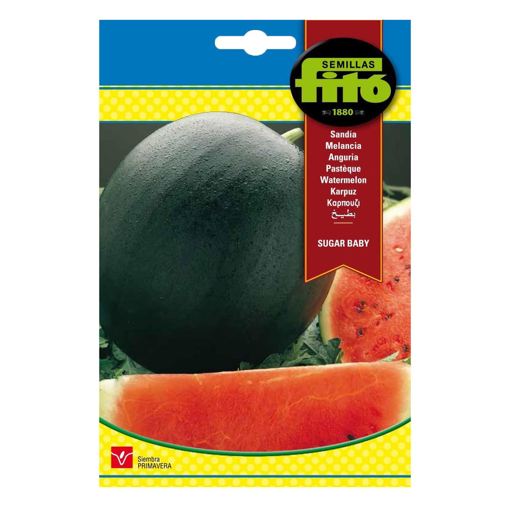 Fito Watermelon Sugarbaby - THE GARDEN CENTRE