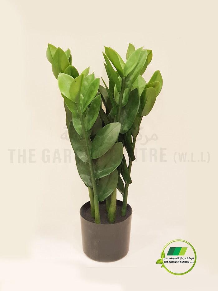 Zamioculcas Zamiifolia artificial - THE GARDEN CENTRE